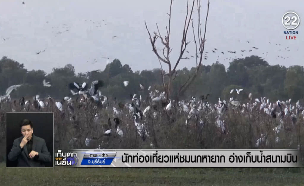 (คลิปข่าว) นักท่องเที่ยวแห่ชมนกหายาก อ่างเก็บน้ำสนามบินบุรีรัมย์ (คลิปข่าว) นักท่องเที่ยวแห่ชมนกหายาก อ่างเก็บน้ำสนามบินบุรีรัมย์