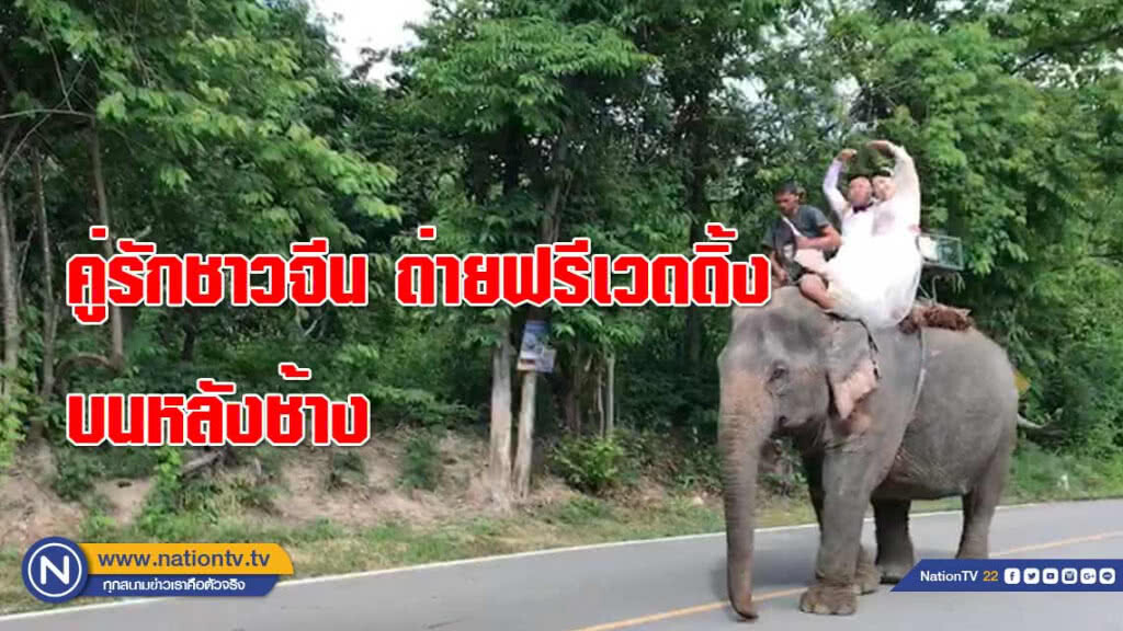 หนุ่มสาวชาวจีน ถ่ายฟรีเวดดิ้ง บนหลังช้าง