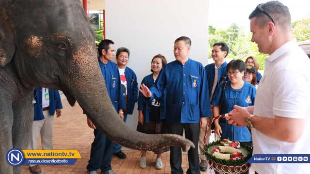 "เชย์ กิฟเว่น" รับเป็นพ่อแม่อุปถัมภ์ช้าง