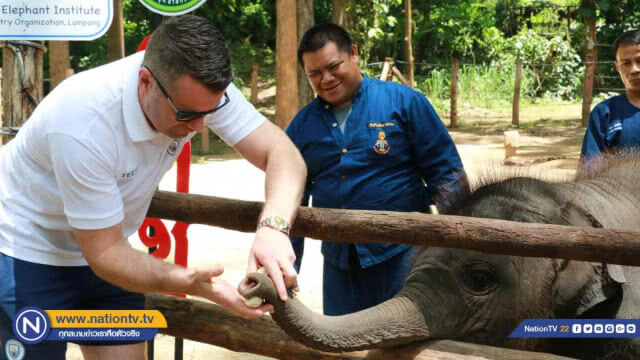 "เชย์ กิฟเว่น" รับเป็นพ่อแม่อุปถัมภ์ช้าง