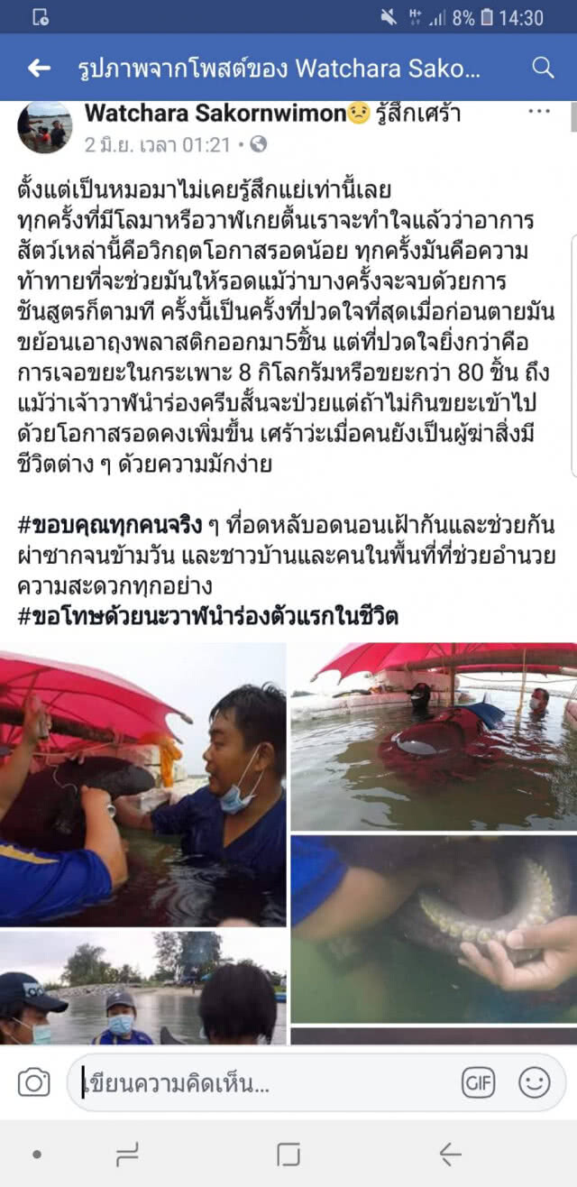 ทช.ผงะ พบขยะพลาสติกในกระเพาะ"วาฬ"หนัก 8 กก.