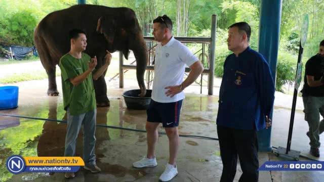 "เชย์ กิฟเว่น" รับเป็นพ่อแม่อุปถัมภ์ช้าง