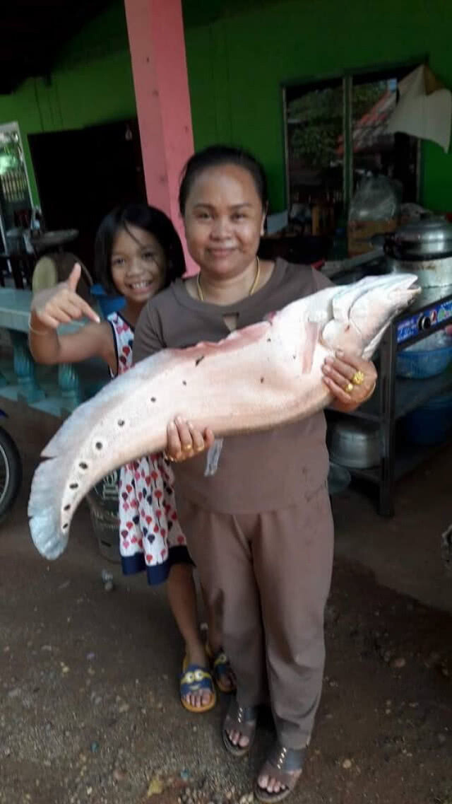 เพื่อพ่อแม่แพ้บ่ได้! "อาม ชุติมา" สาวบึงกาฬสัญญาณไม่ดี..พร้อมก้าวเดินต่อไป