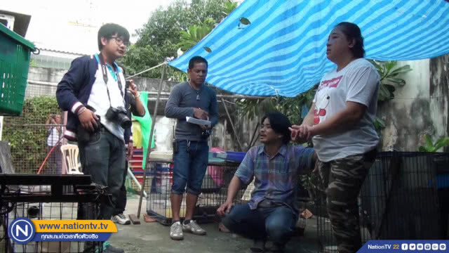 วอนผู้ใจบุญรับแมวกว่า 40 ชีวิตไปอุปถัมภ์ เดือดร้อนหนักไร้ที่อยู่