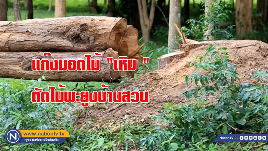 แก๊งมอดไม้ "เหิม " ตัดไม้พะยูงบ้านสวน กต.ตร.ภาค 4 โร่แจ้งตร.