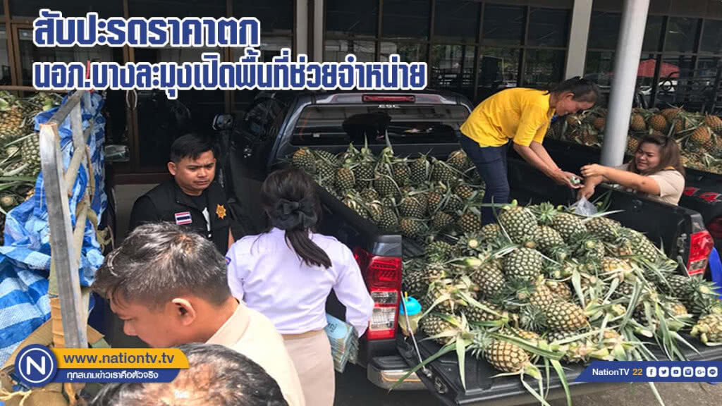 สับปะรดราคาตกต่ำ นายอำเภอบางละมุงเปิดพื้นที่ช่วยจำหน่าย