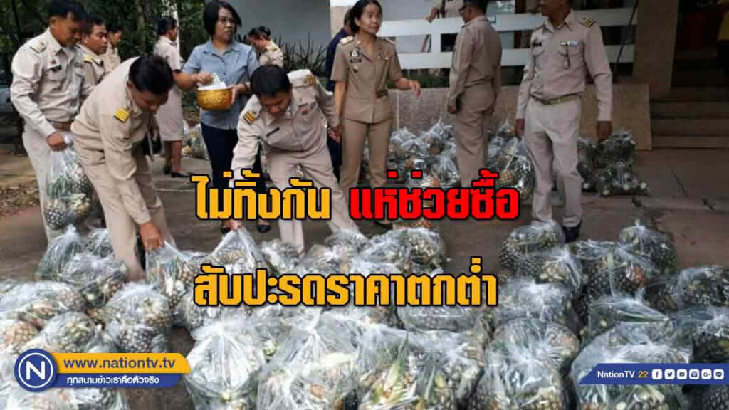 "น้ำใจ" ชาวชัยภูมิไม่ทิ้งกันทุกภาคส่วนแห่ช่วยซื้อ "สับปะรดราคาตกต่ำ" "น้ำใจ" ชาวชัยภูมิไม่ทิ้งกันทุกภาคส่วนแห่ช่วยซื้อ "สับปะรดราคาตกต่ำ"