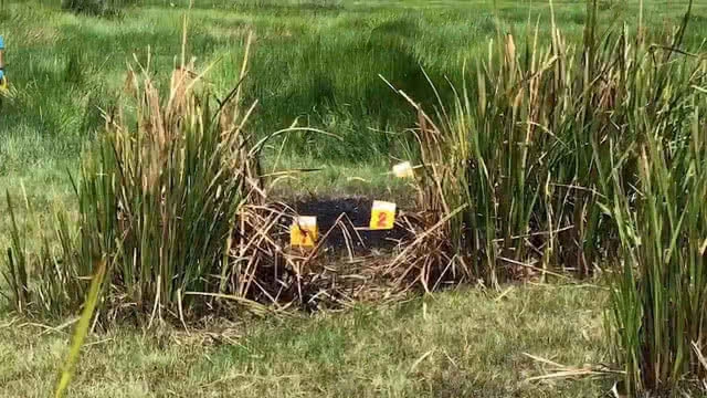 อดีตสามีฆ่าเศรษฐีนีเผานั่งยาง ชิงมอบตัวตำรวจกลางดึก เจ้าตัวยังปฏิเสธ