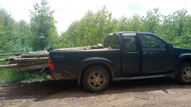 2 คู่หู ดอดขโมยตัดไม้ยูคาฯ บริษัทดัง ถูกรวบคาสวน!!