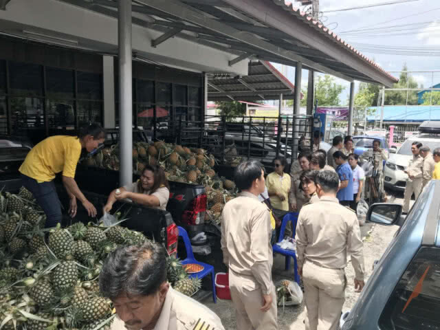 สับปะรดราคาตกต่ำ นายอำเภอบางละมุงเปิดพื้นที่ช่วยจำหน่าย