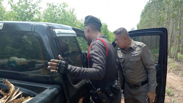 2 คู่หู ดอดขโมยตัดไม้ยูคาฯ บริษัทดัง ถูกรวบคาสวน!!