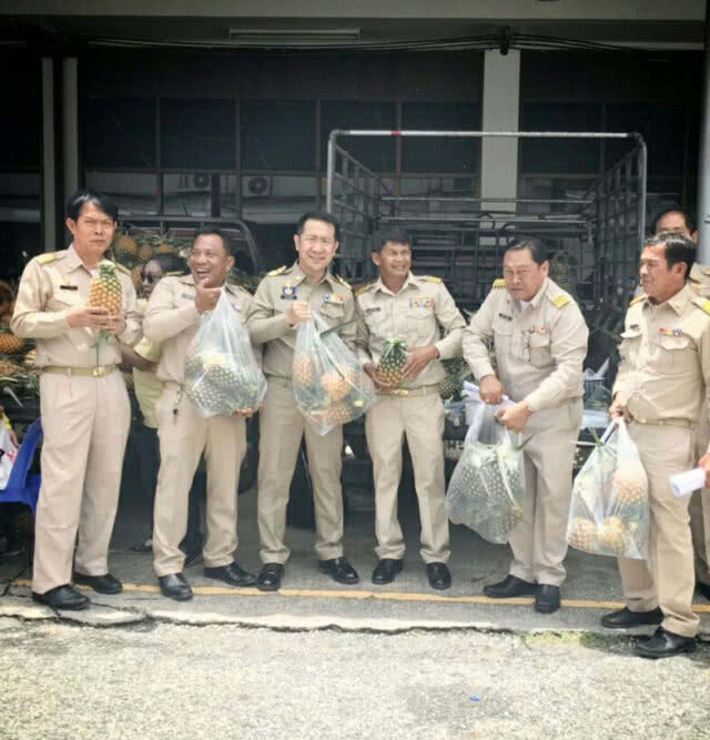 สับปะรดราคาตกต่ำ นายอำเภอบางละมุงเปิดพื้นที่ช่วยจำหน่าย
