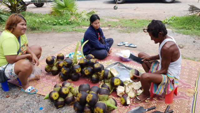 สุดทึ่งพ่อเฒ่าวัย 74 ฉายา "เฒ่าตีนตุ๊กแก" ปีนเก็บลูกตาลเลี้ยงชีวิต