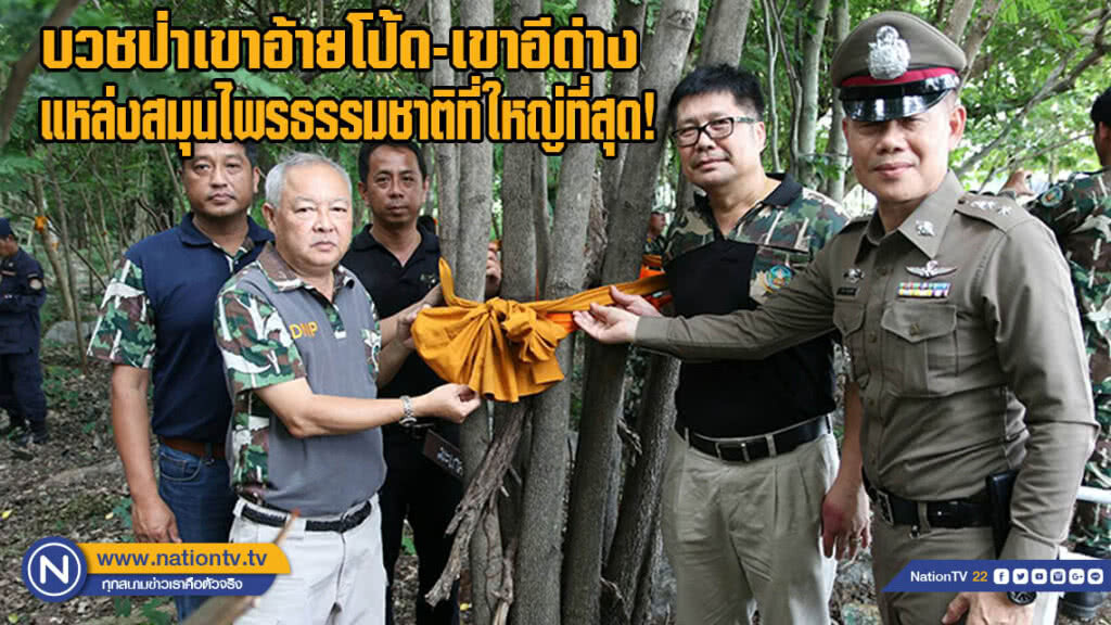บวชป่าเขาอ้ายโป้ด-เขาอีด่าง แหล่งสมุนไพรธรรมชาติที่ใหญ่ที่สุดในประเทศ