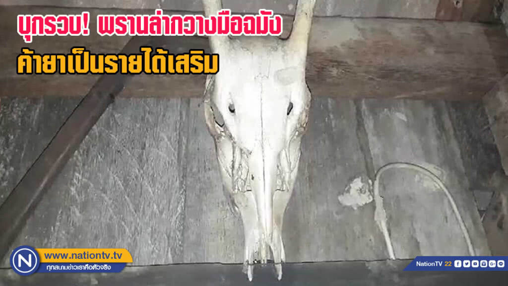 บุกรวบ "พรานล่ากวาง" มือฉมัง ค้ายาเป็นรายได้เสริม