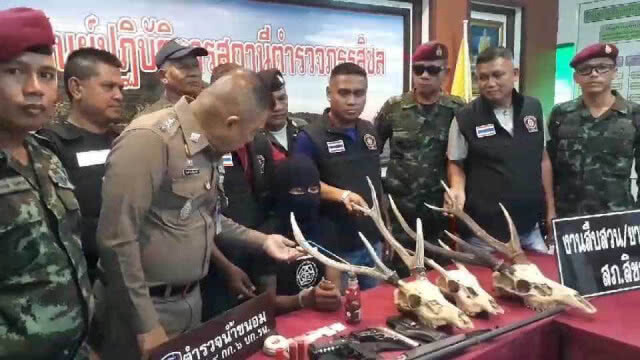 บุกรวบ "พรานล่ากวาง" มือฉมัง ค้ายาเป็นรายได้เสริม