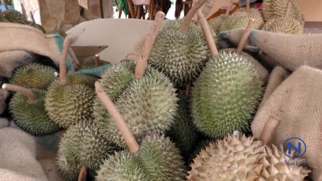 ทวนกระแส "ทุเรียนแพง"จัดกิน"ฟรี" ปีที่3