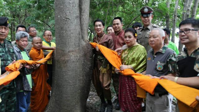 บวชป่าเขาอ้ายโป้ด-เขาอีด่าง แหล่งสมุนไพรธรรมชาติที่ใหญ่ที่สุดในประเทศ