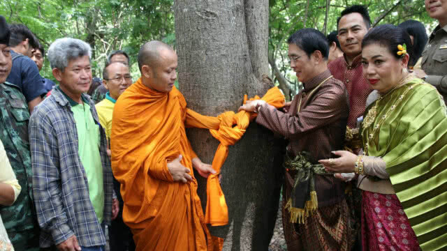 บวชป่าเขาอ้ายโป้ด-เขาอีด่าง แหล่งสมุนไพรธรรมชาติที่ใหญ่ที่สุดในประเทศ