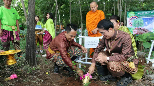 บวชป่าเขาอ้ายโป้ด-เขาอีด่าง แหล่งสมุนไพรธรรมชาติที่ใหญ่ที่สุดในประเทศ