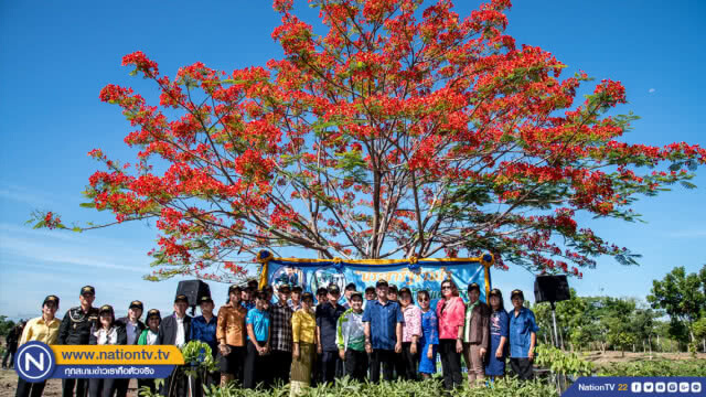 ประชารัฐร่วมใจ ปลูกต้นไม้ให้แผ่นดิน วันสิ่งแวดล้อมโลก