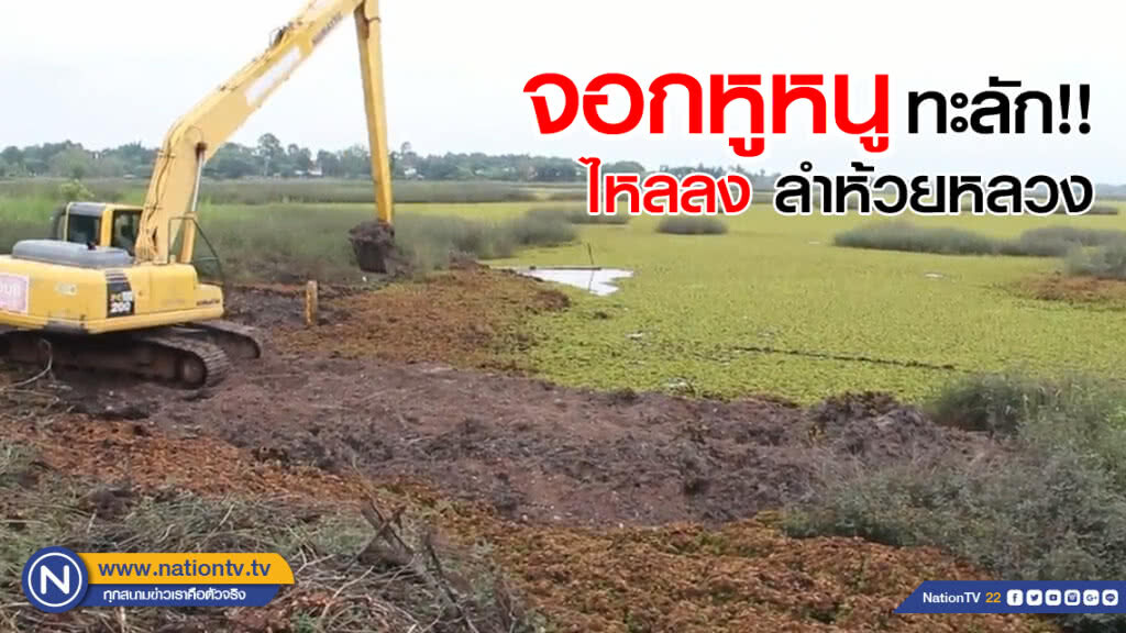 จอกหูหนู 'ทะลัก' ไหลลงลำห้วยหลวง จอกหูหนู 'ทะลัก' ไหลลงลำห้วยหลวง