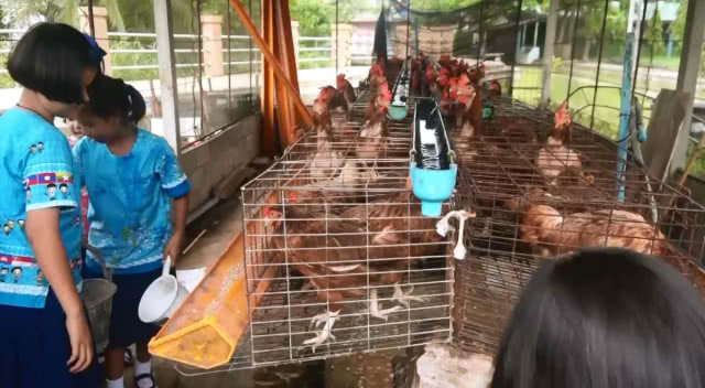 โรงเรียนต้นแบบอาหารกลางวัน จัดเต็มเมนูเด็ด(มีคลิป)