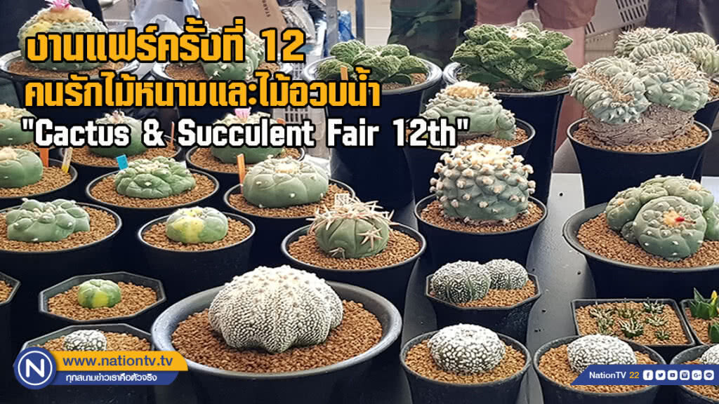 งานแฟร์ครั้งที่ 12 คนรักไม้หนามและไม้อวบน้ำ "Cactus & Succulent Fair 12th"(ภาพชุด)