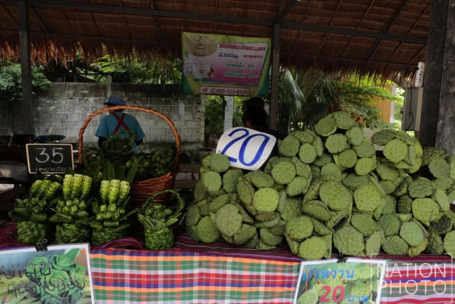 ตลาดน้ำโบราณบ้านต้นตาล ที่ชุมชนบ้านต้นตาล ต.ต้นตาล อ.เสาไห้ จ.สระบุรี