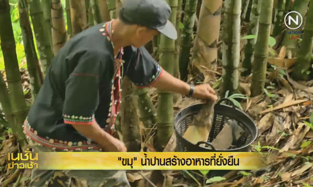 (คลิปข่าว) "ขมุ" น้ำปานสร้างอาหารที่ยั่งยืน (คลิปข่าว) "ขมุ" น้ำปานสร้างอาหารที่ยั่งยืน
