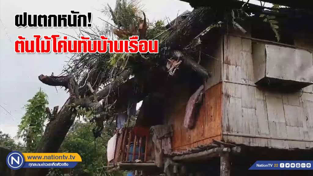 ฝนตกหนัก! ต้นไม้โค่นทับบ้านเรือน ไร้คนเจ็บ(คลิป)