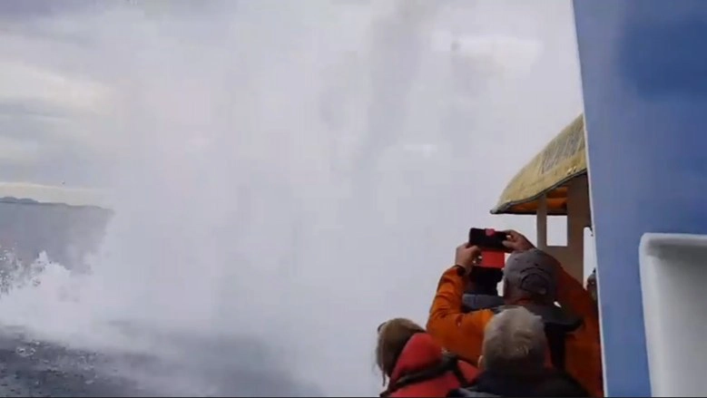 ประสบการณ์ไม่รู้ลืมของนักท่องเที่ยมชมวาฬ 