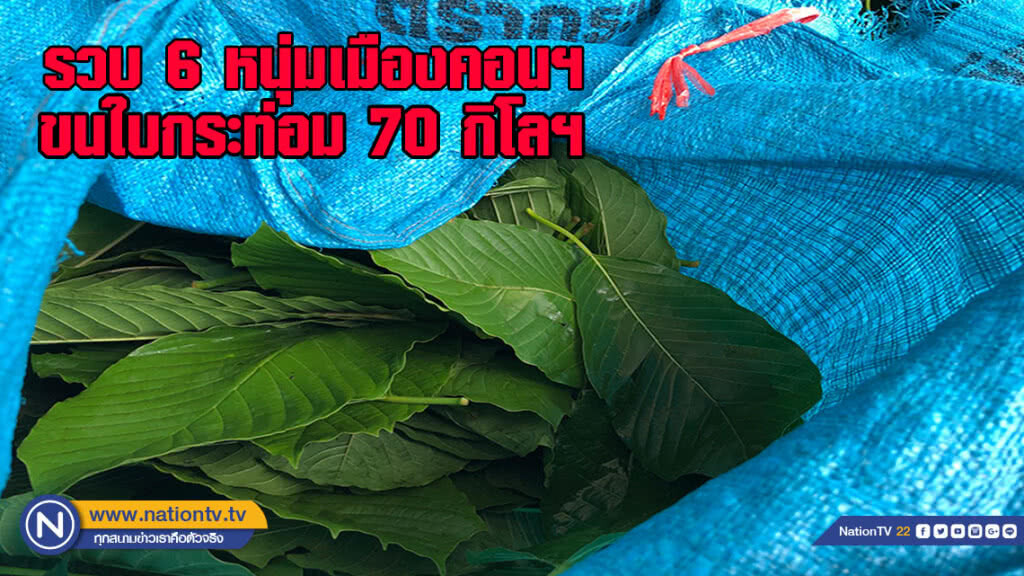 ตำรวจกองปราบ รวบ 6 หนุ่มเมืองคอนฯ ขนใบกระท่อม 70 กิโลฯ ขาย "นักศึกษา-จับกัง"