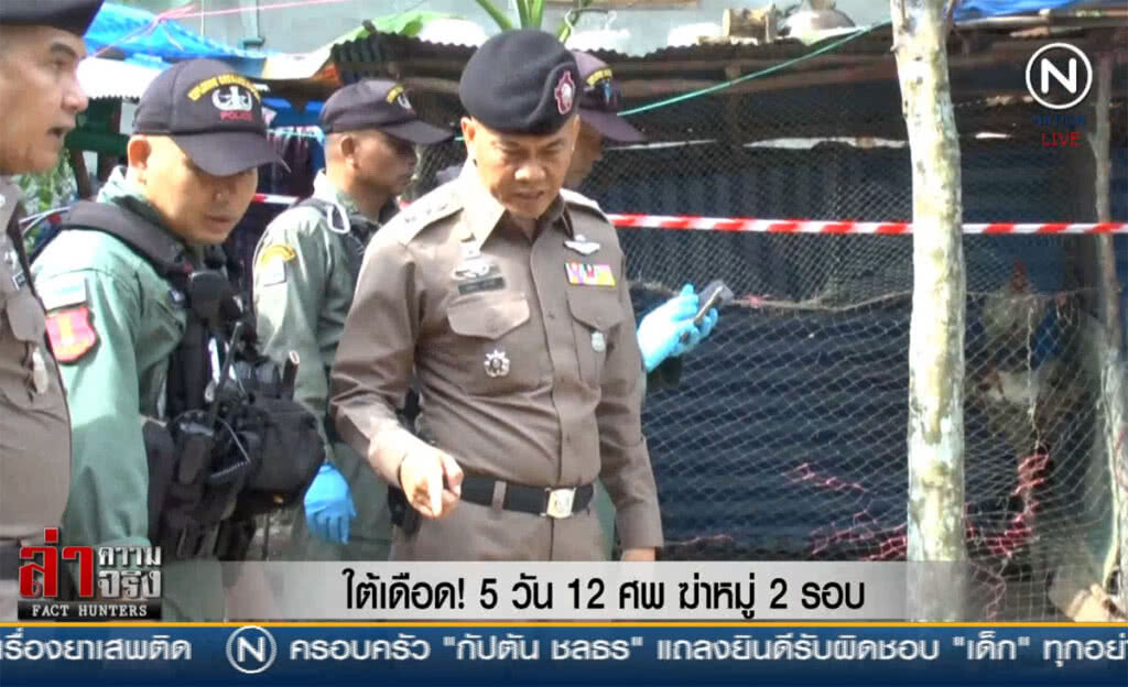 (คลิปข่าว) ใต้เดือด! 5 วัน 12 ศพ ฆ่าหมู่ 2 รอบ