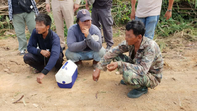 บุกจับสมุนจ่าหนู ถางป่าหวังยึด "เขามะละกอ" ทำเลทองร้อยล้าน