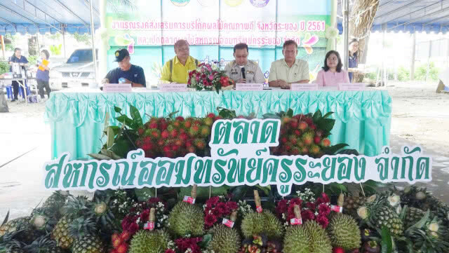 จัดงานรณรงค์ส่งเสริมการกินผลไม้ แจกผลไม้ทานฟรีในงาน