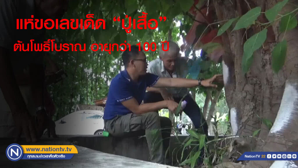 แห่ขอเลขเด็ด "ปู่เสื้อ" ต้นโพธิ์โบราณอายุกว่า 100 ปี