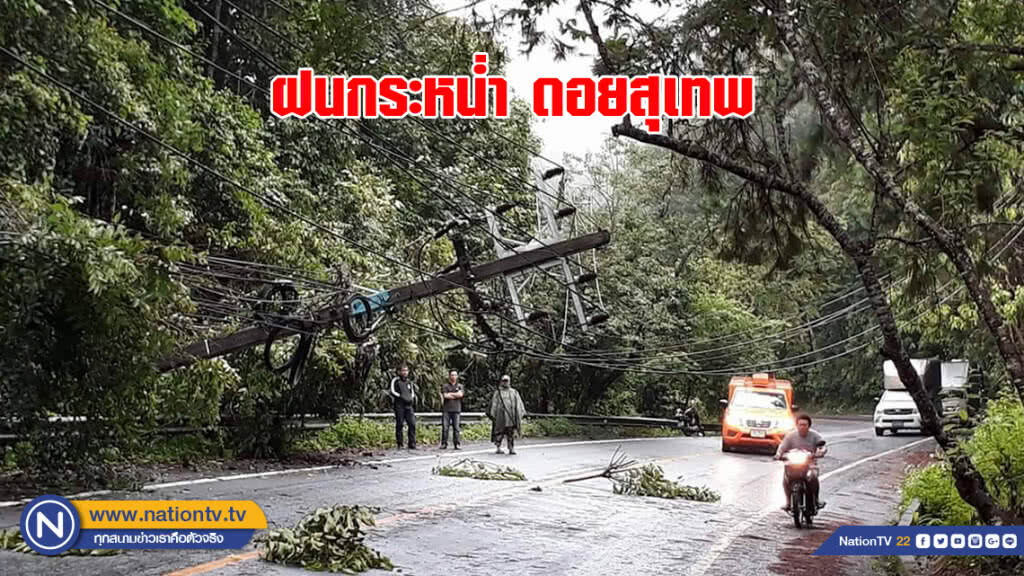ฝนกระหน่ำดอยสุเทพต้นไม้ใหญ่ล้มดึงเสาไฟฟ้าโค่น 4 ต้น