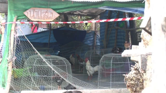 ปมสั่งตาย 5 ศพบันนังสตาขัดต้มน้ำใบกระท่อม