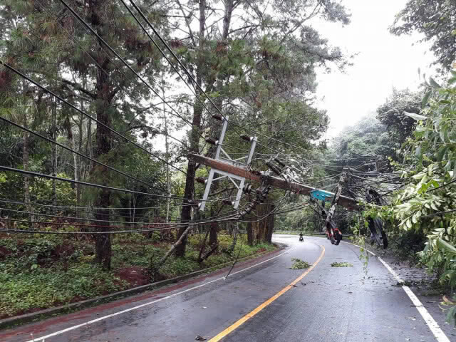 ฝนกระหน่ำดอยสุเทพต้นไม้ใหญ่ล้มดึงเสาไฟฟ้าโค่น 4 ต้น
