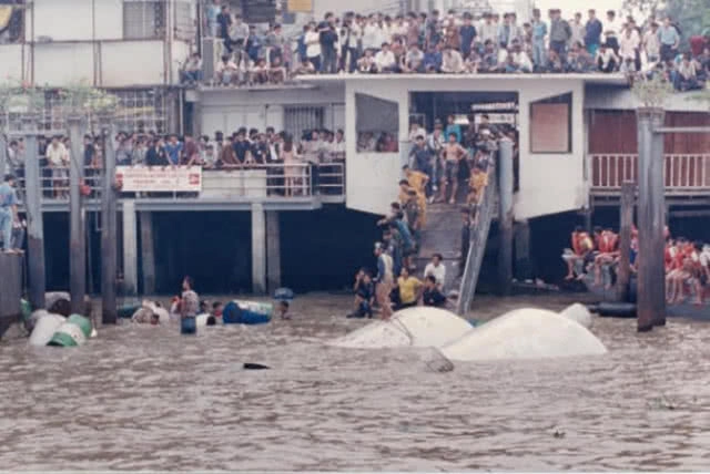 14 มิ.ย.2538 : โศกนาฏกรรมหมู่ โป๊ะล่มพรานนก!