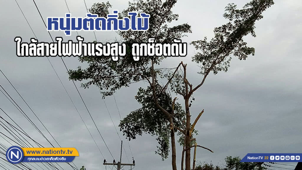 หนุ่มวัยเบญจเพสขึ้นไปตัดกิ่งไม้ใกล้สายไฟแรงสูง ถูกช็อตดับ(มีคลิป)
