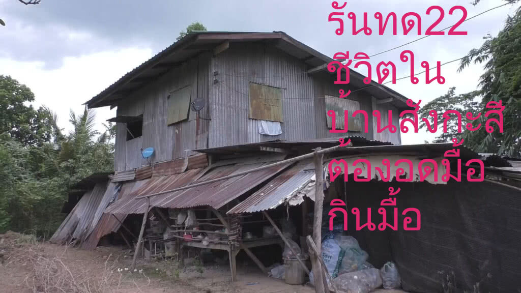 หญิงชราวอนผู้ใจบุญช่วยเหลือ