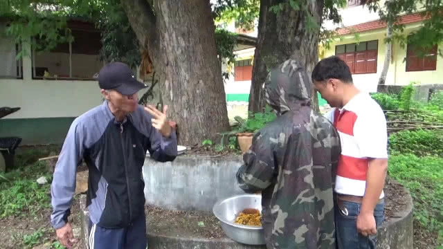 ฝูง "ผึ้ง-ต่อหัวเสือ" ยึดบ้าน -ทนไม่ไหวจ้างพรานขับไล่