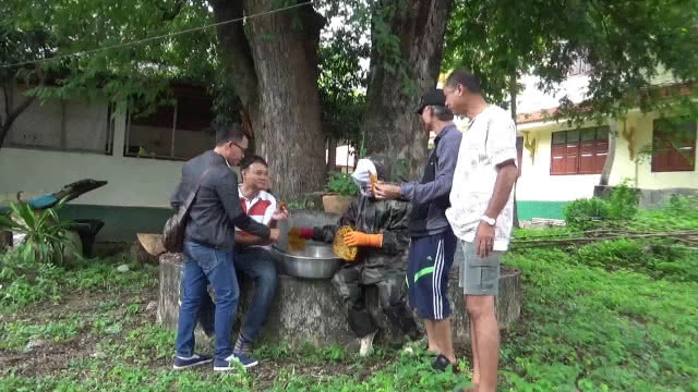 ฝูง "ผึ้ง-ต่อหัวเสือ" ยึดบ้าน -ทนไม่ไหวจ้างพรานขับไล่