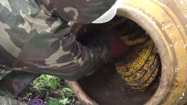 ฝูง "ผึ้ง-ต่อหัวเสือ" ยึดบ้าน -ทนไม่ไหวจ้างพรานขับไล่