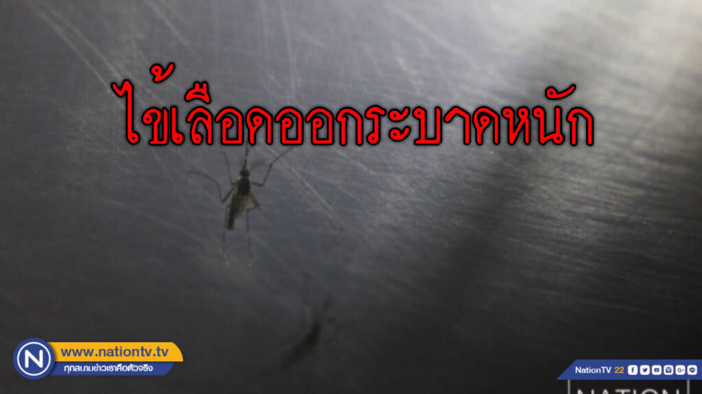 ยอดผู้ป่วยไข้เลือดออก ม.ค. - มิ.ย. 61 พุ่ง 1.7 หมื่นราย! ตายแล้ว 21 ราย