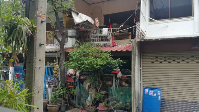 ชาวบ้านร้องป้าขังหมาเหม็นคลุ้งทั่วบ้านตร.ขอตรวจสอบก่อน ต้องสอบปากคำ-ประสานเขต และกรมปศุสัตว์ตรวจสอบ
