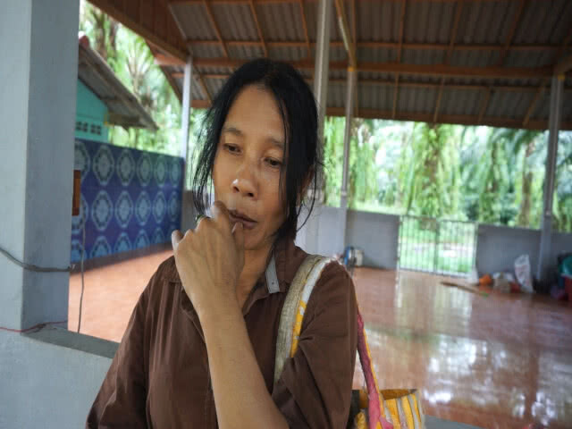 "นางฟ้าหมาจรจัด" นับร้อย วอนช่วย หลังต่างด้าวทิ้งไว้ ก่อปัญหาเพียบ!