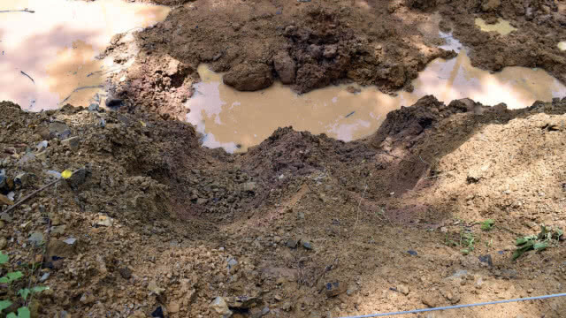 ช้างป่า"สีดอแดง"แหกสถานกักกันช้างหนีเข้าป่ารอบ 2